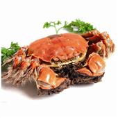 阳澄湖大闸蟹